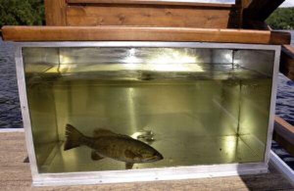 Woonboot Daigno Le Koroc