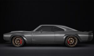 Hellephant gewoonvoorhem 1