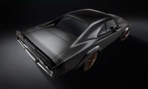 Hellephant gewoonvoorhem 2