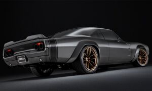 Hellephant gewoonvoorhem 3