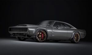 Hellephant gewoonvoorhem