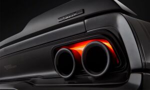 Hellephant gewoonvoorhem 4