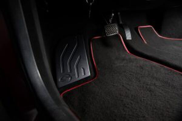 8000 euro elektrische auto gewoonvoorhem 6