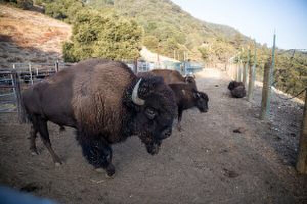 Adembenemende bergwoning Gewoonvoorhem