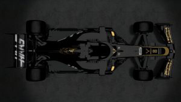 Haas Formule 1-seizoen Gewoonvoorhem