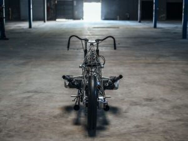 Doorzichtige motor Revival Birdcage