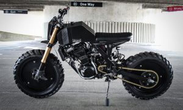 Kawasaki Ninja 250 Droog Moto DM-15