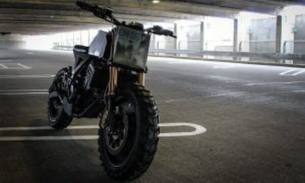 Kawasaki Ninja 250 Droog Moto DM-15