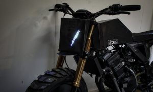 Kawasaki Ninja 250 Droog Moto DM-15