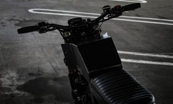 Kawasaki Ninja 250 Droog Moto DM-15