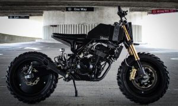 Kawasaki Ninja 250 Droog Moto DM-15