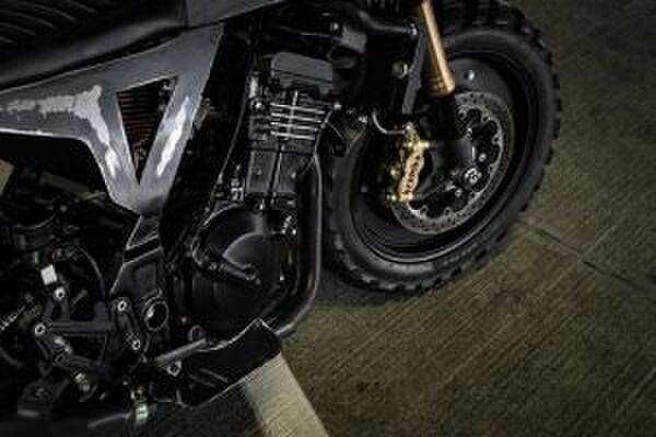 Kawasaki Ninja 250 Droog Moto DM-15