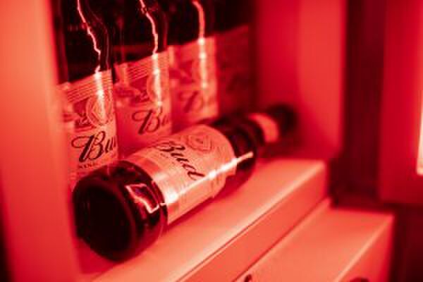 Bud bier Nederland