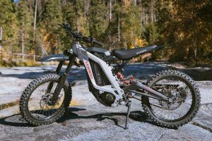 e bike