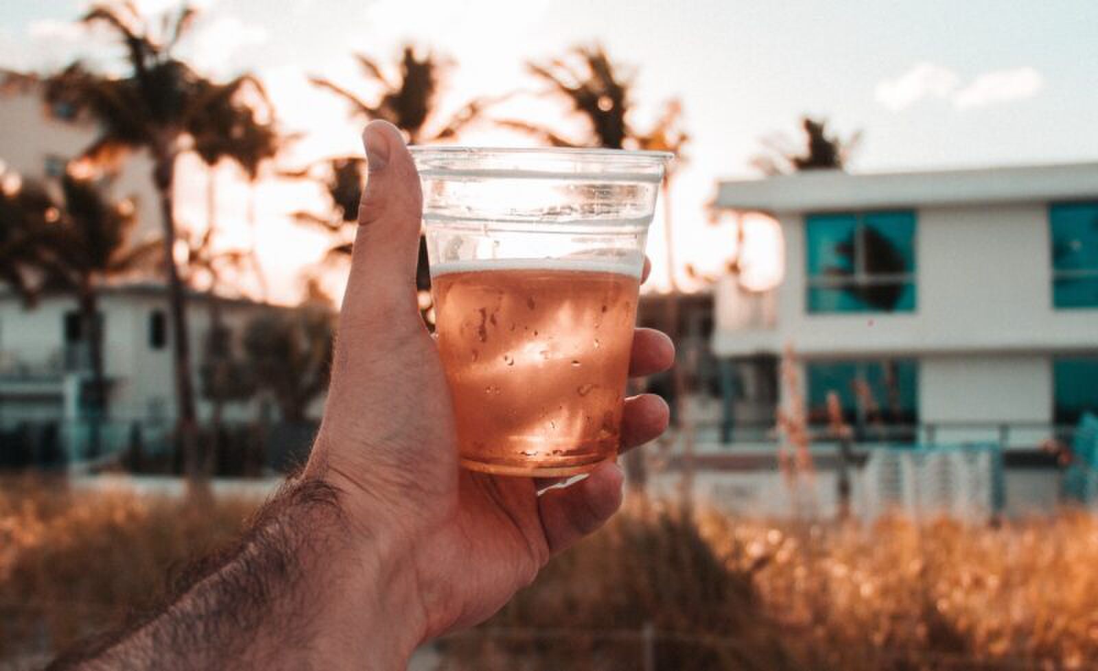 sneller dronken zon 2