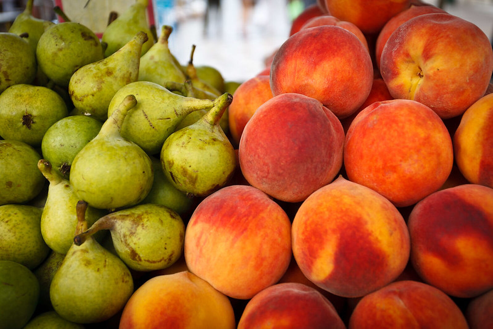 nooit meer last van fruitvliegjes