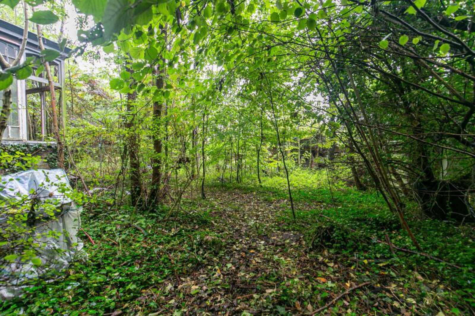 Horrorhuis trekt de aandacht op Funda