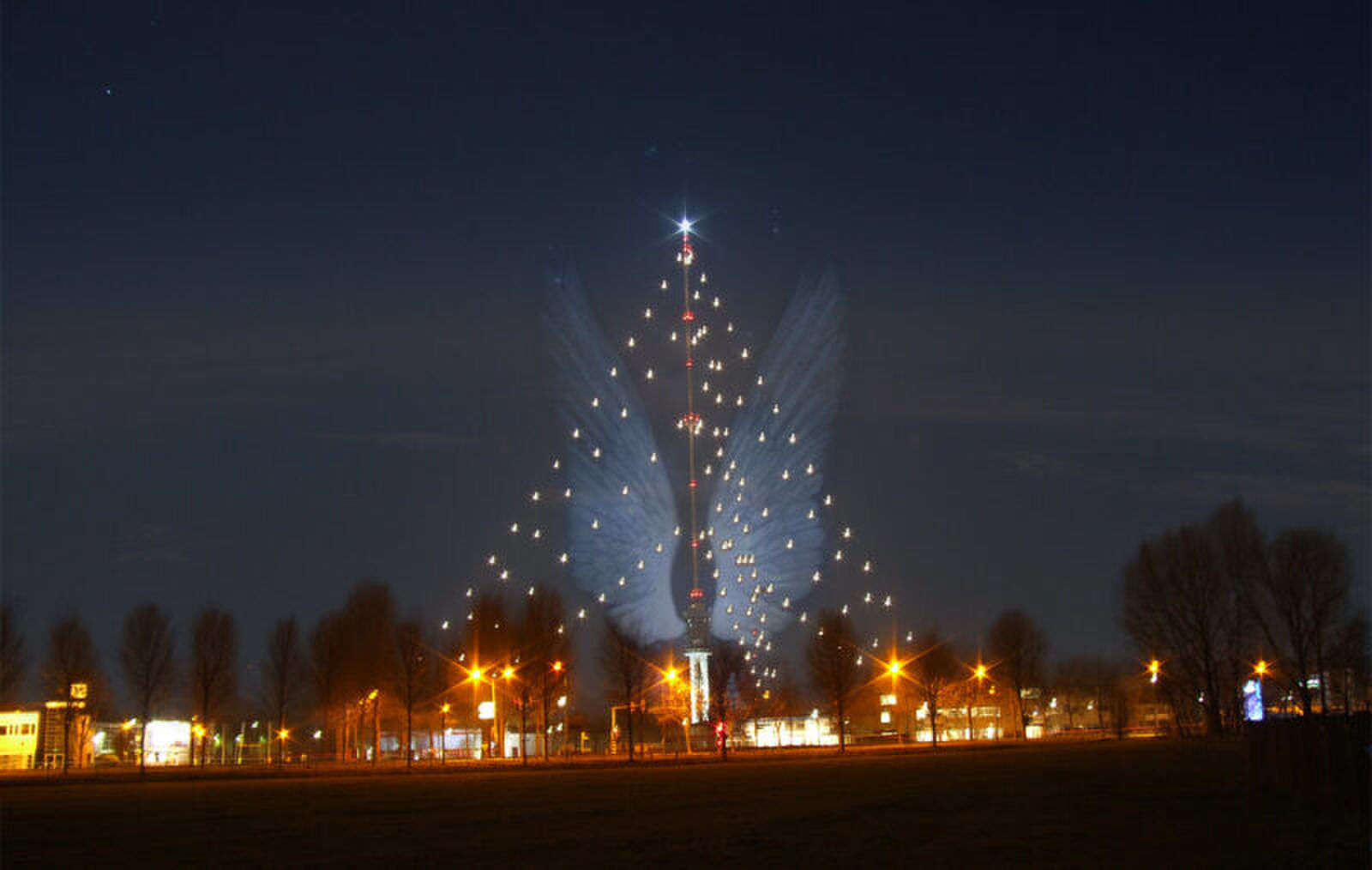 Grootste Kerstboom 25e editie