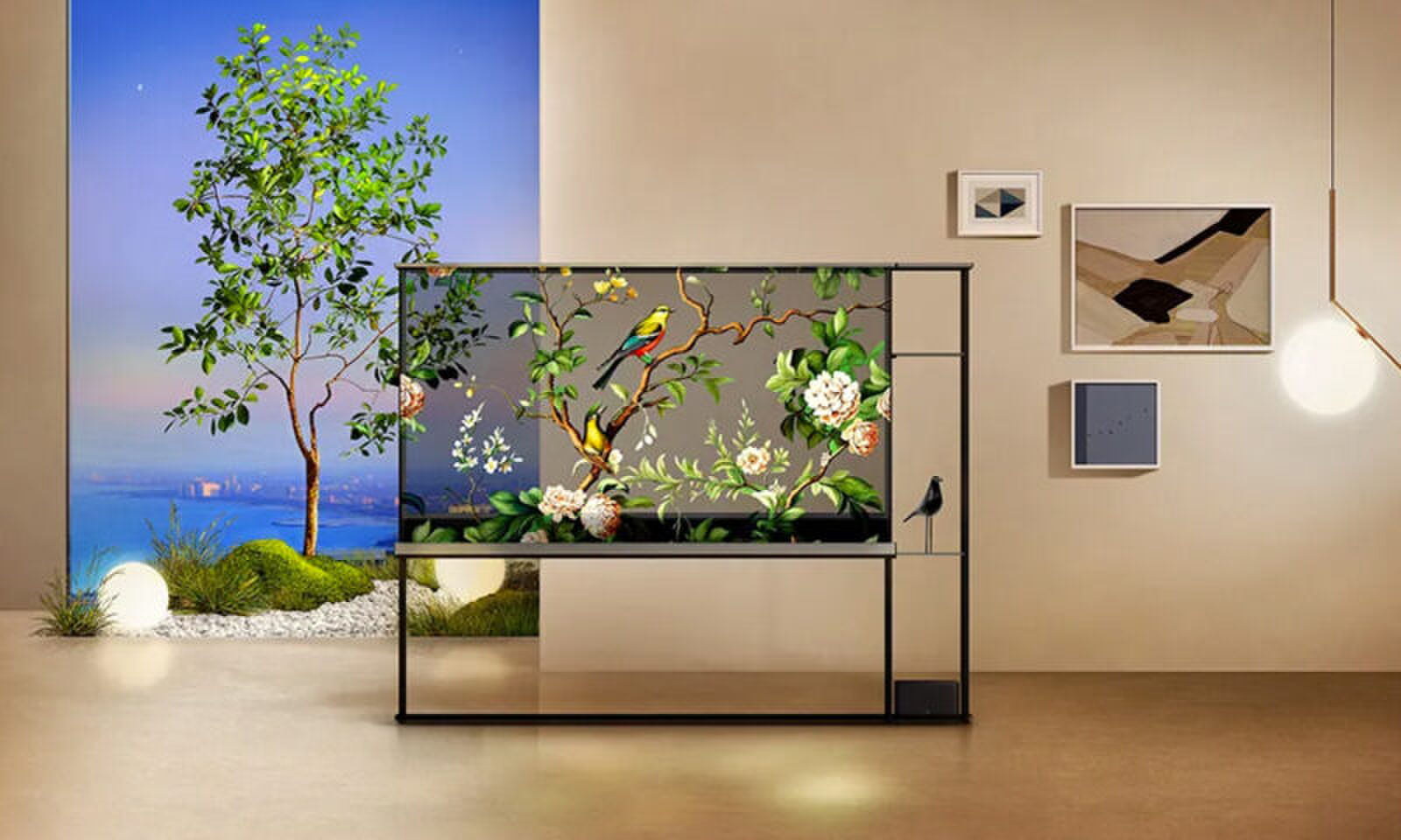 draadloze transparante OLED-tv