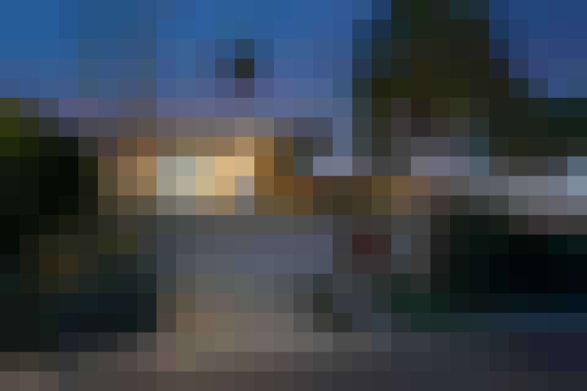 Miljoenenvilla Elon Musk Gewoonvoorhem