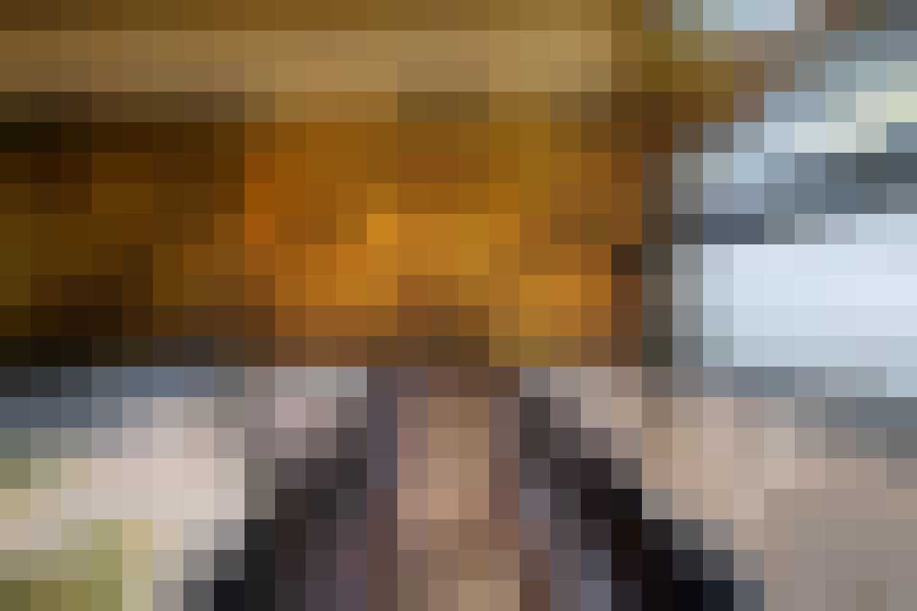 tree house constantia