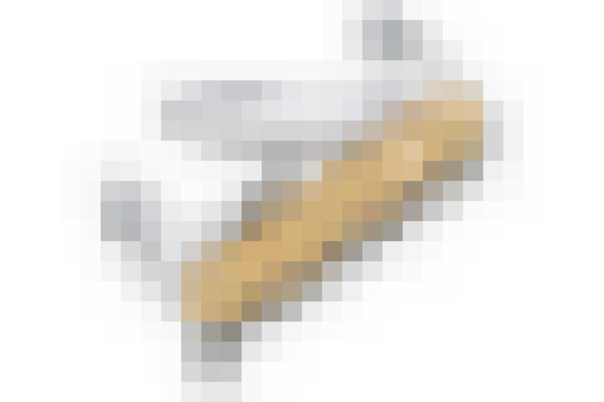 Victorinox Limited Edition Champagne Gold Gewoonvoorhem