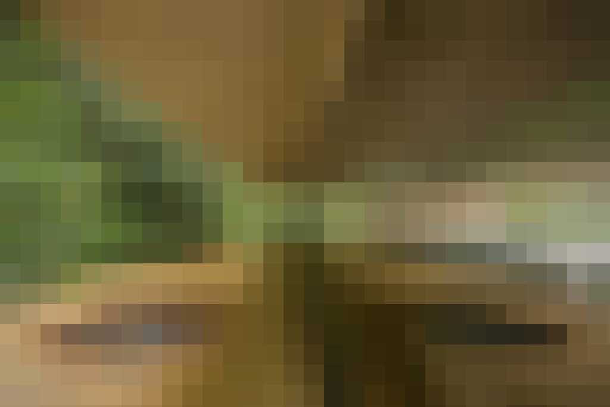 villa middenin de jungle