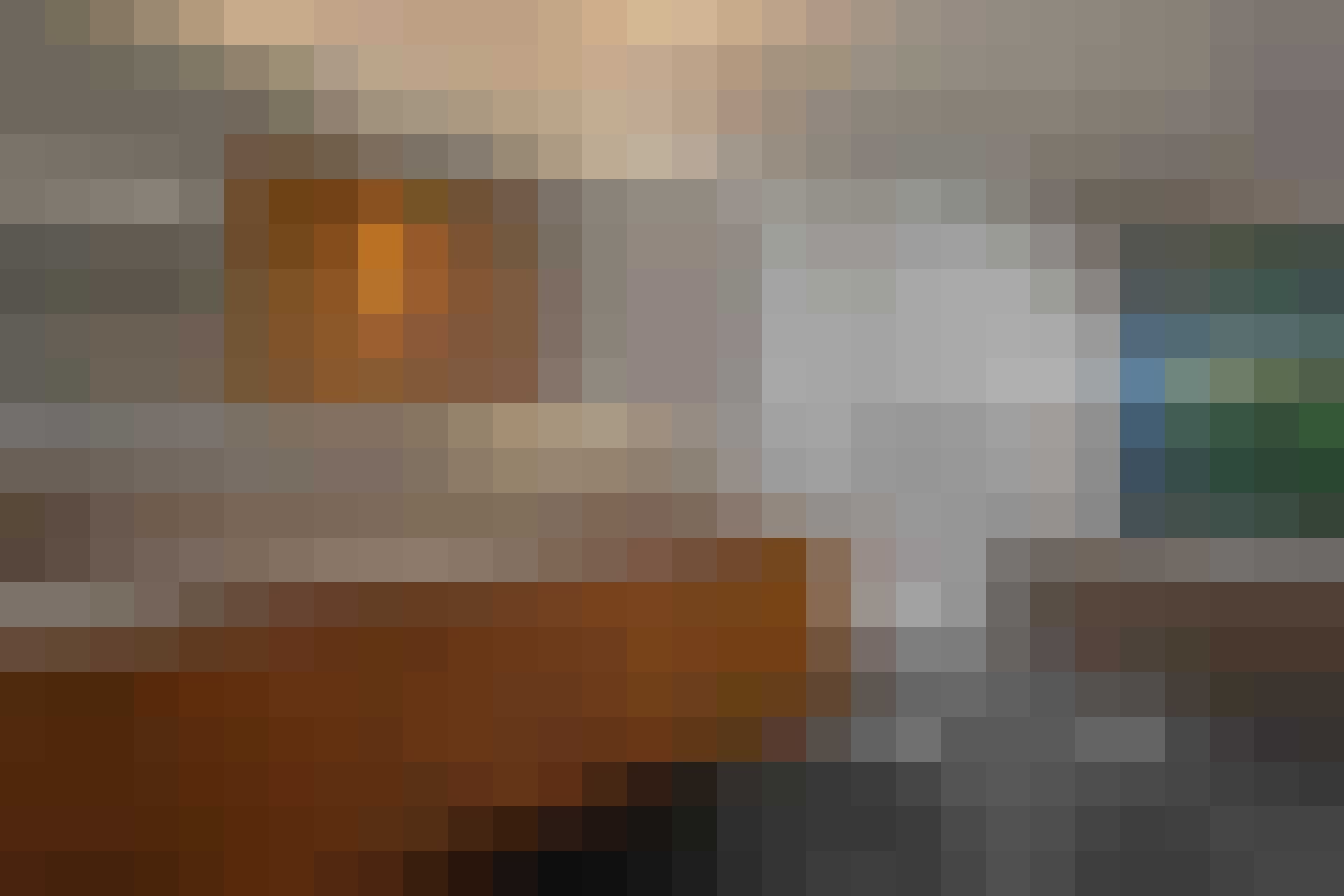 Miljoenenvilla Elon Musk Gewoonvoorhem