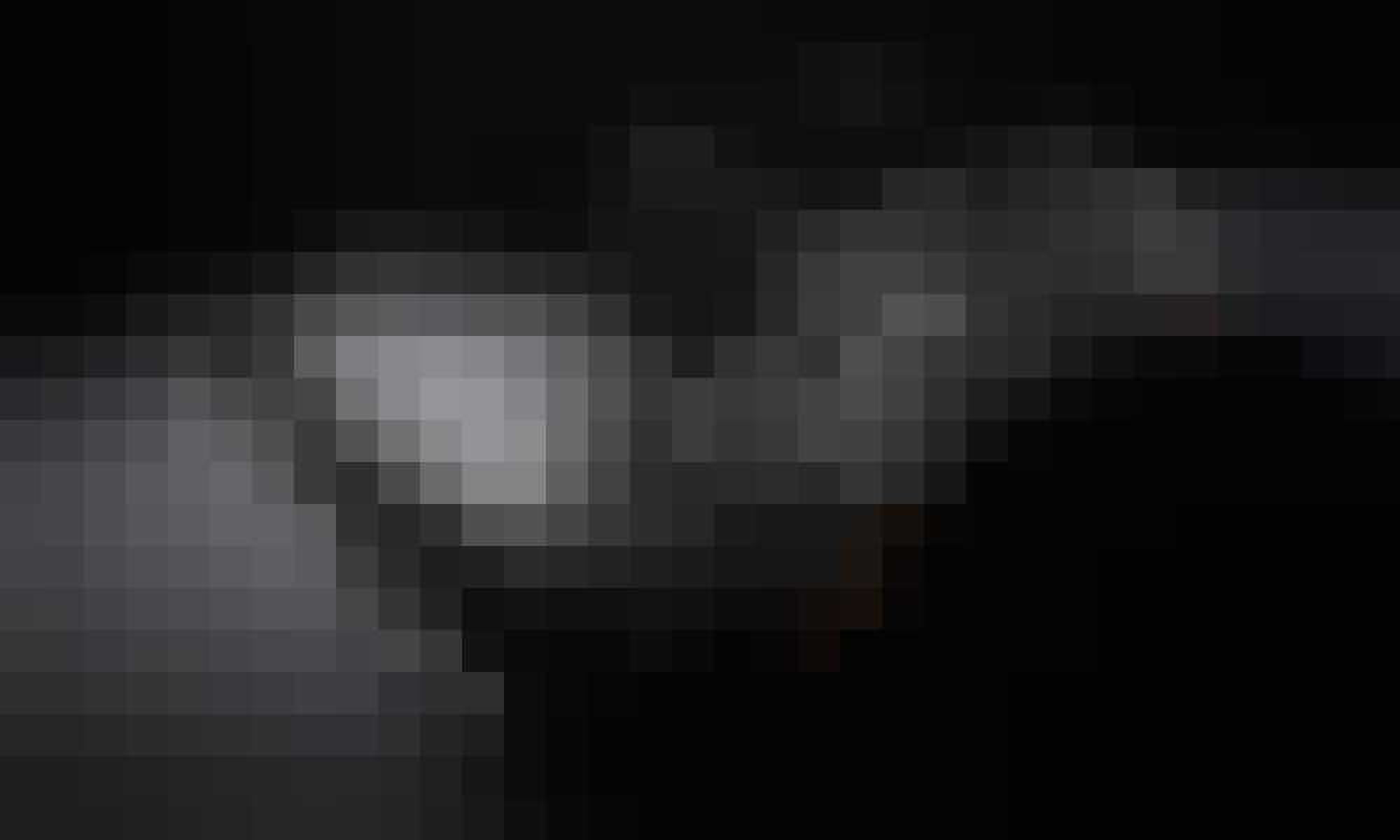 Hellephant gewoonvoorhem 2