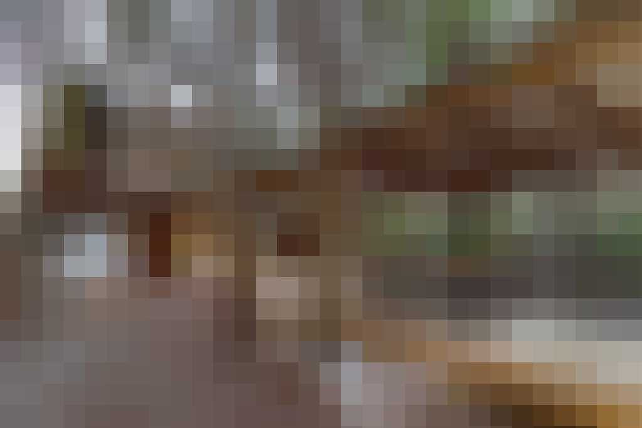 airbnb Kruger-ark mar loth park zuid afrika