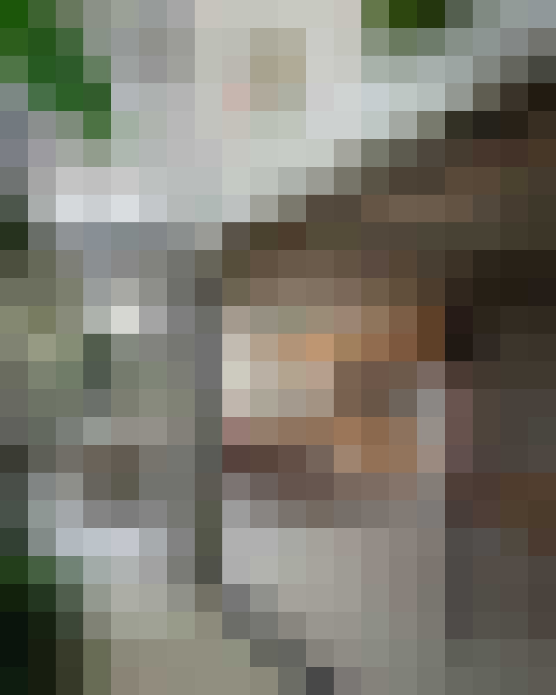 braziliaans huis industrieel en bohemian