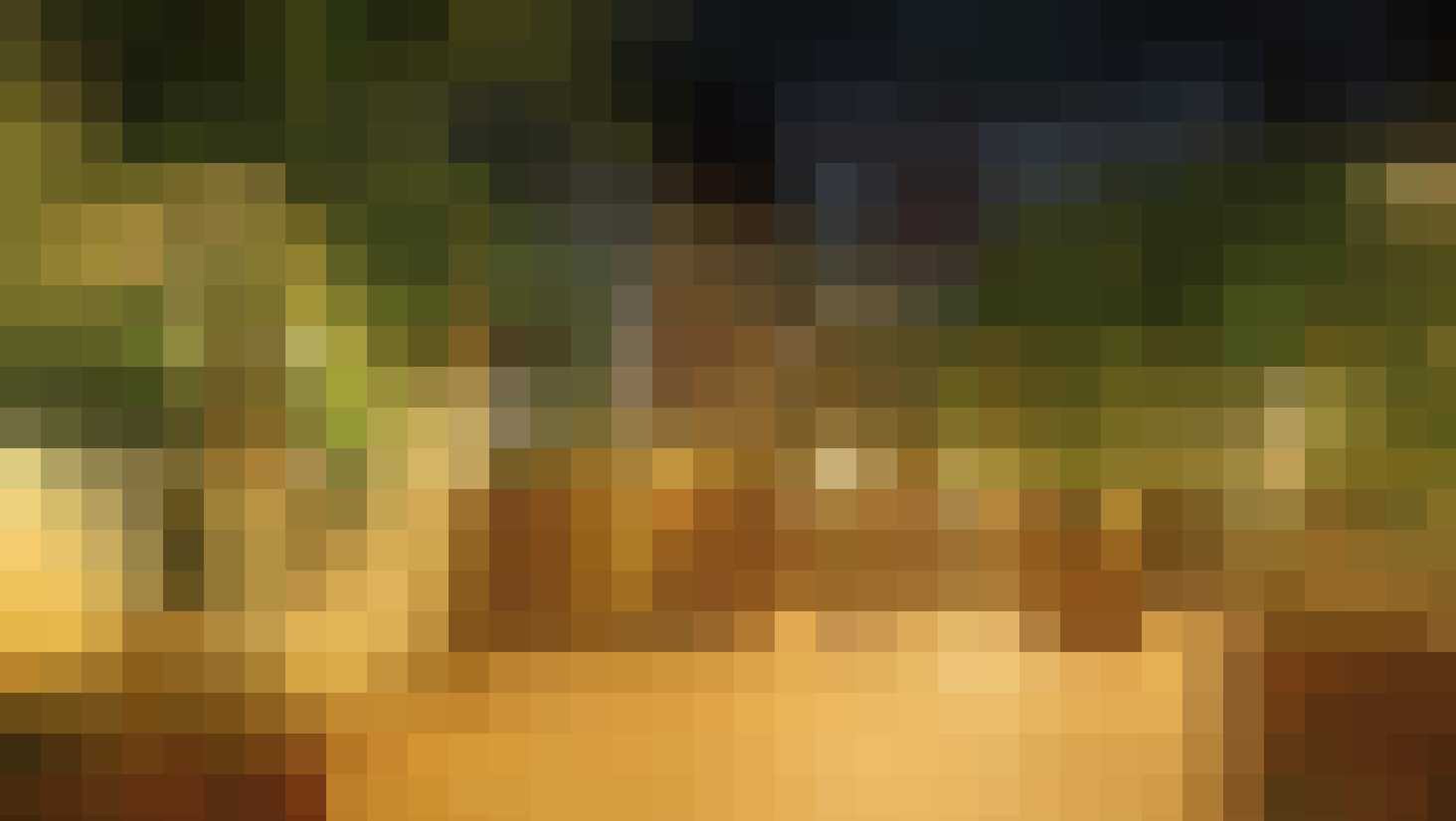 het grootste tropische zwemparadijs