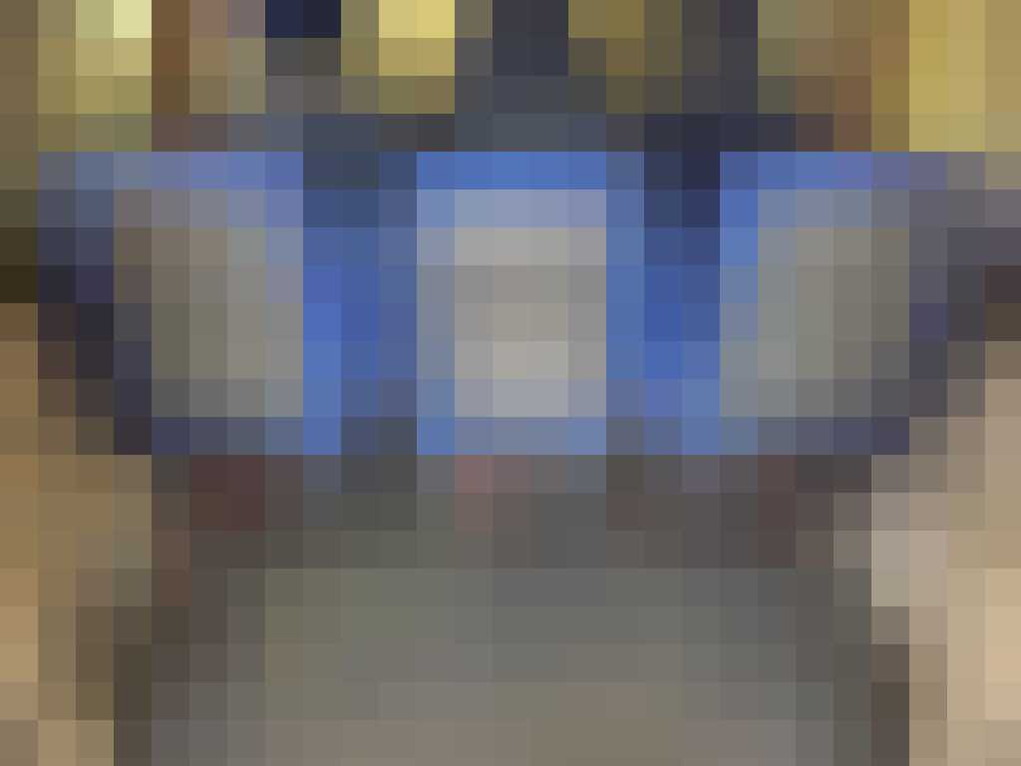 Fiat Multipla Max Verstappen Gewoonvoorhem