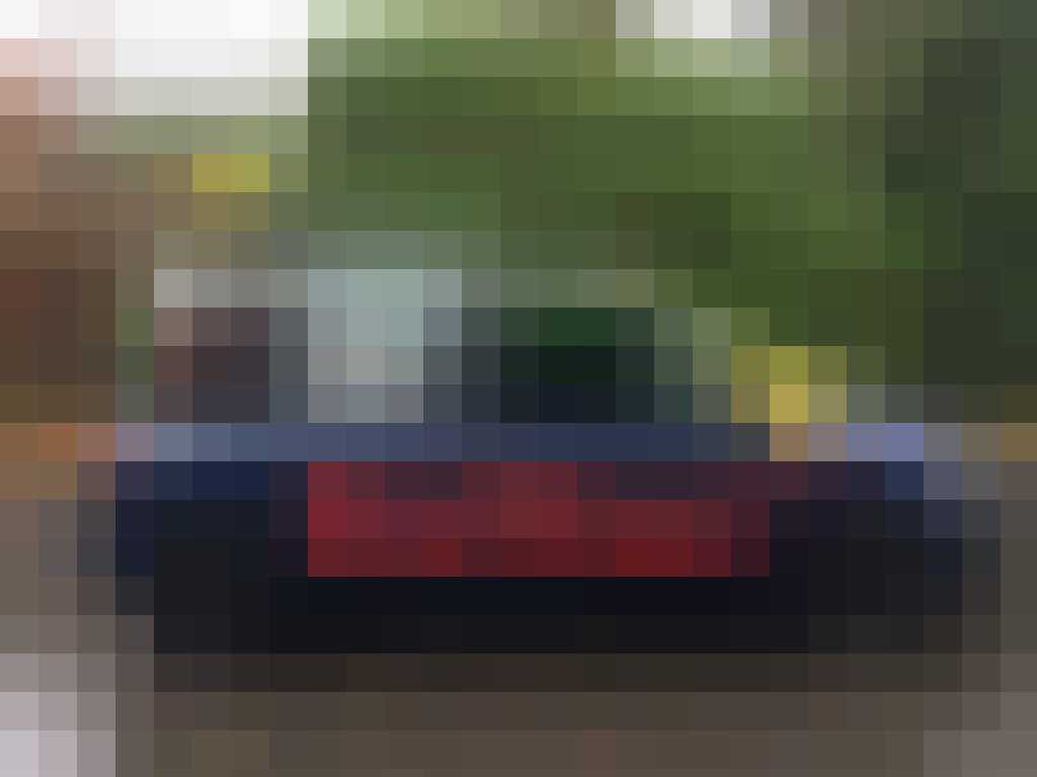 Fiat Multipla Max Verstappen Gewoonvoorhem