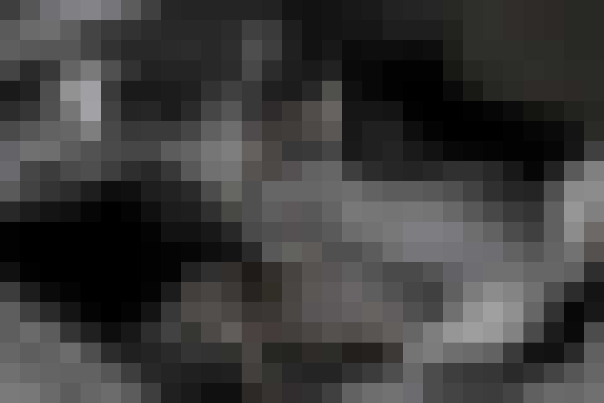 kunstenaar 3018 tentoonstelling Daniel Arsham gewoonvoorhem 2