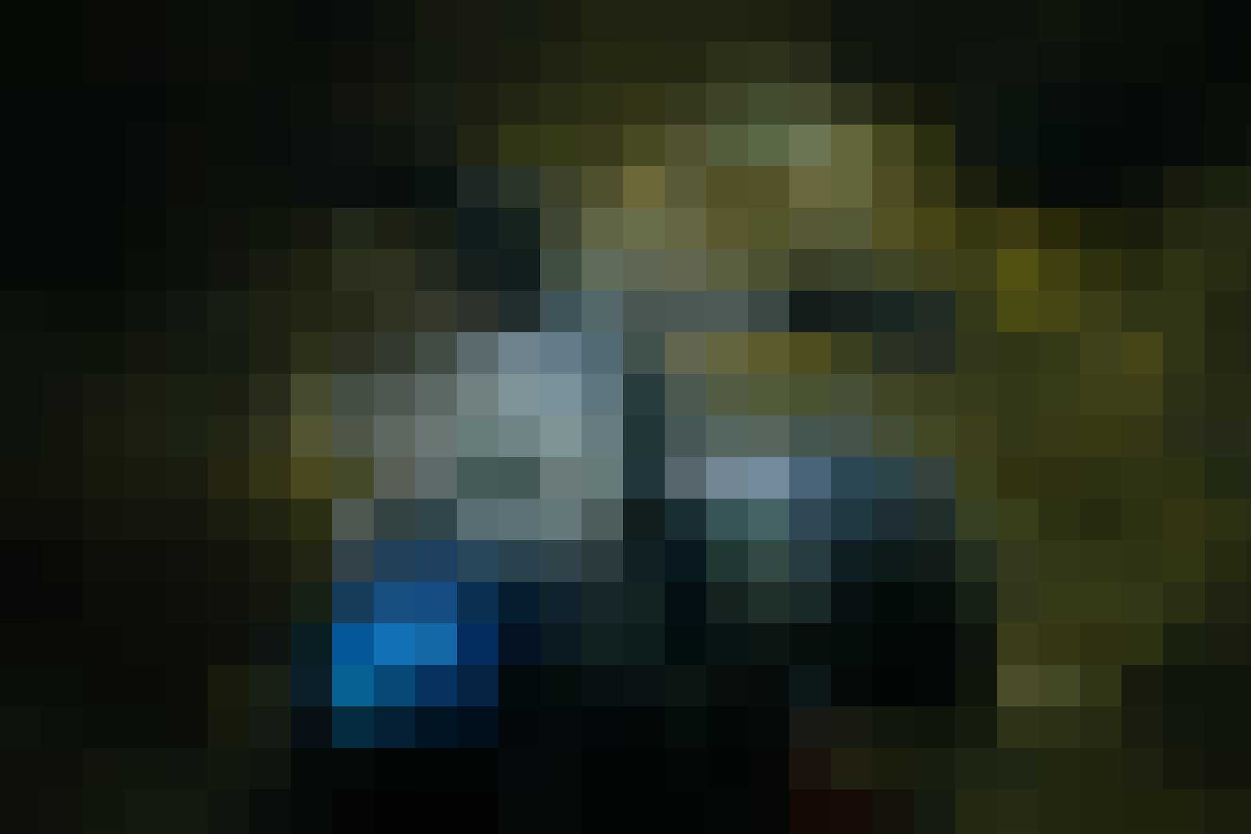 Ducati Scrambler Desert Sled