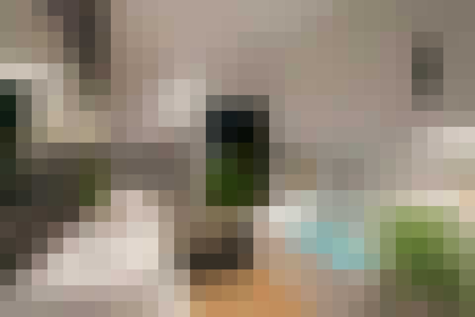 droomhuis glasshouse