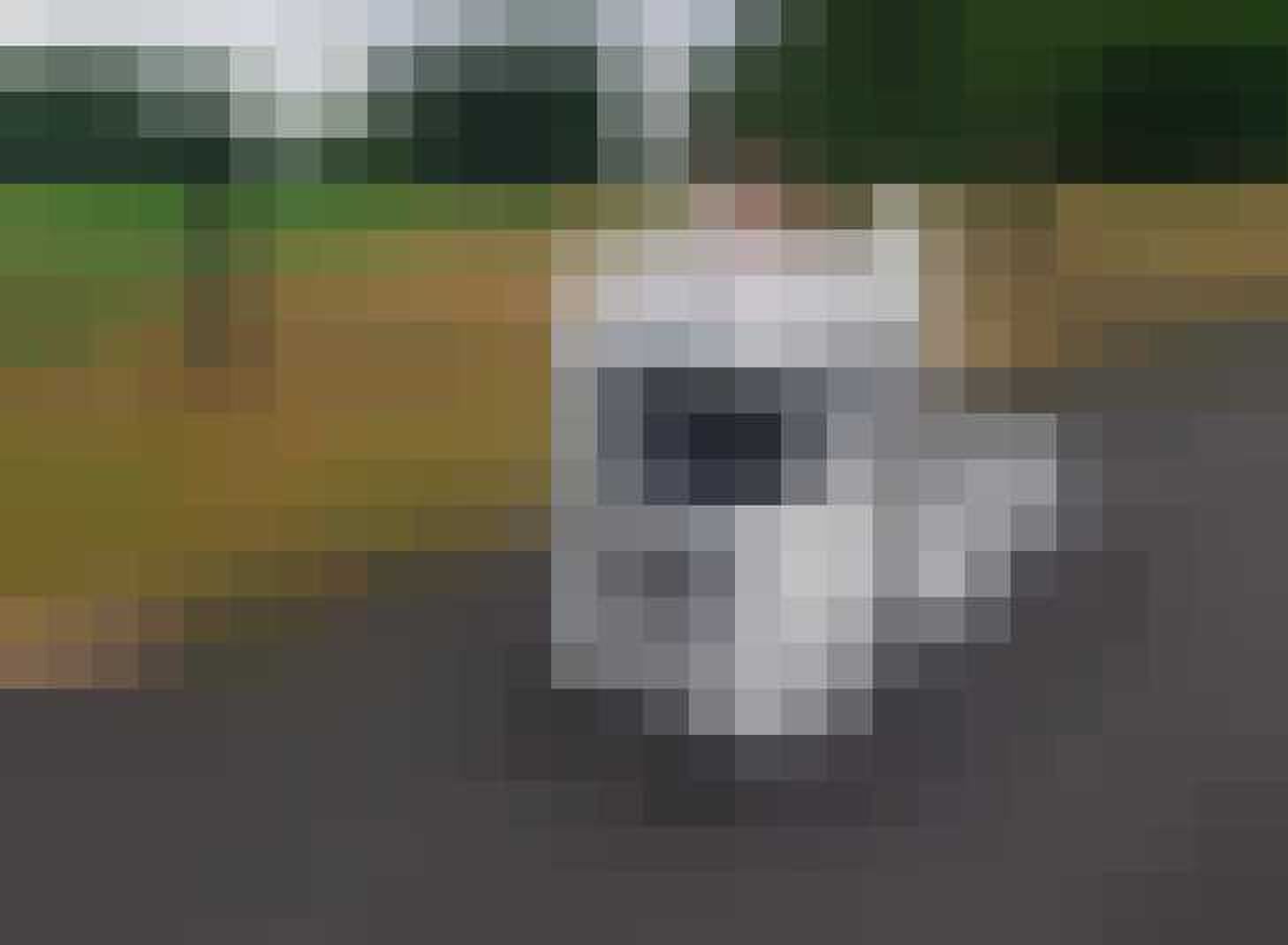 scania truck trucker vrachtwagen