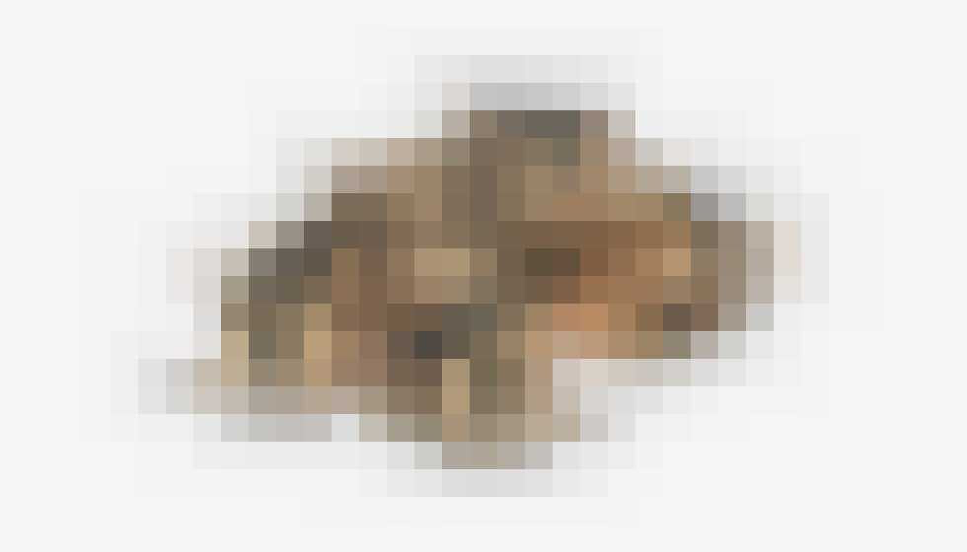 The Flying Nest Shipping Container Hotel gewoonvoorhem 5