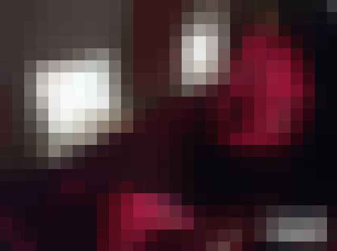 privevliegtuig elvis presley