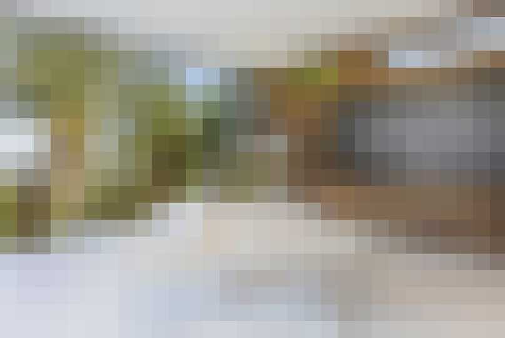 Duurste huis Amerika