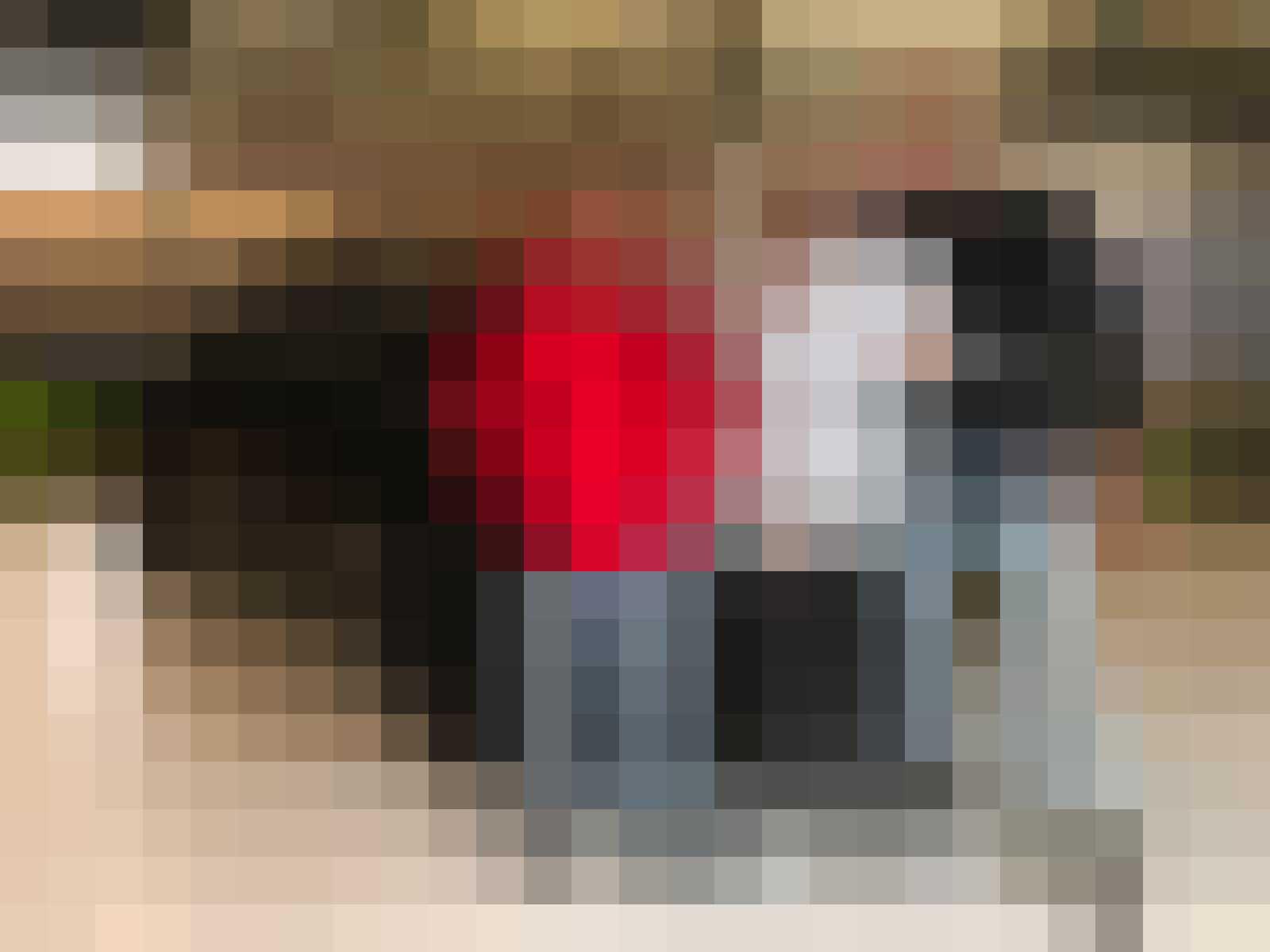 Bizzey Audi Q8 SUV gewoonvoorhem