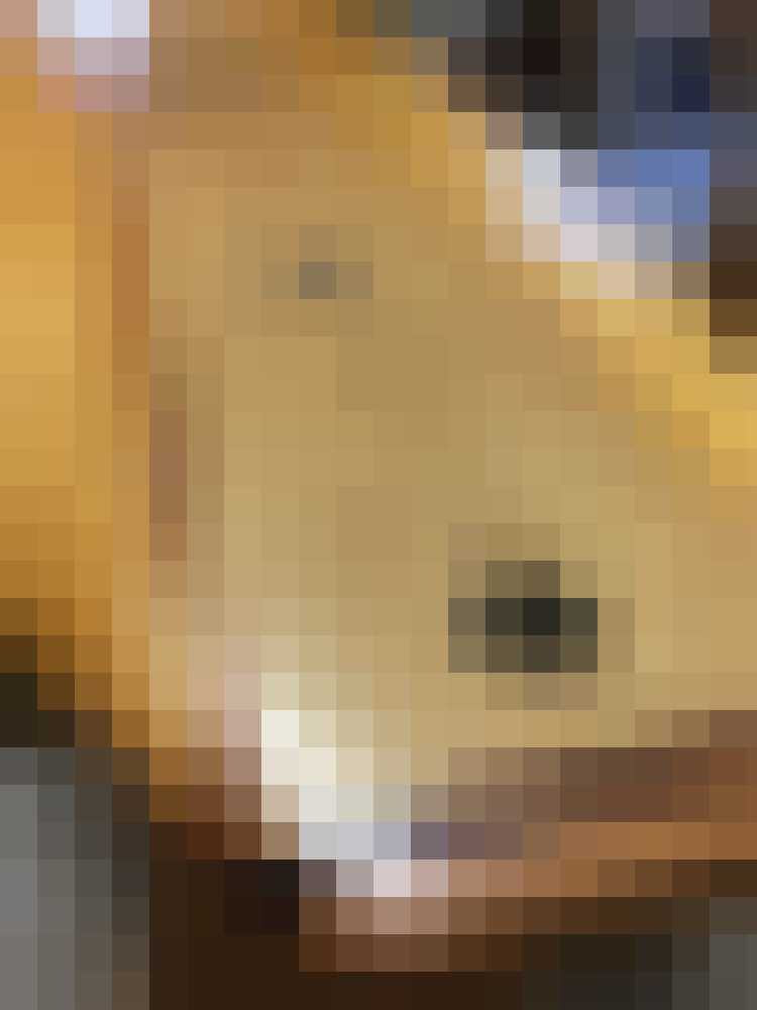 Vooraanzicht whiksy vat surboard gewoonvoorhem