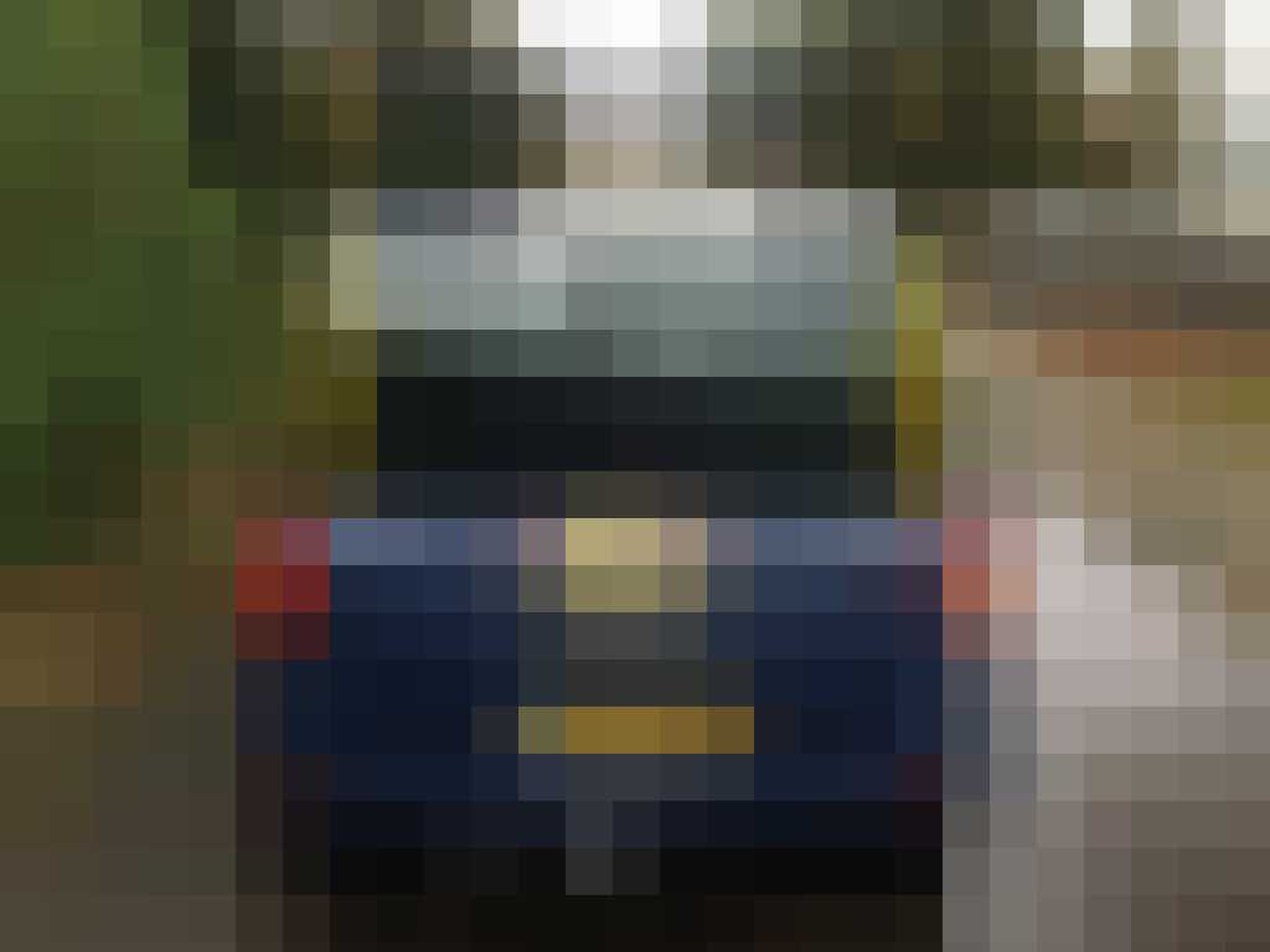 Fiat Multipla Max Verstappen Gewoonvoorhem