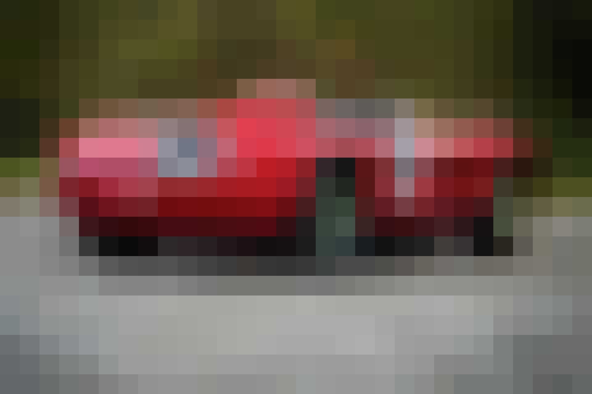 Ferrari 290 MM gewoonvoorhem