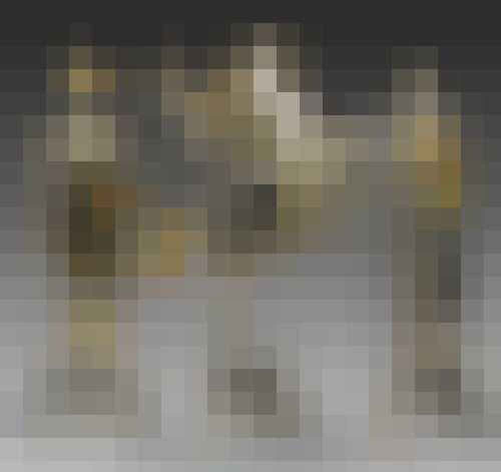 duurste schaakborden gewoonvoorhem 2