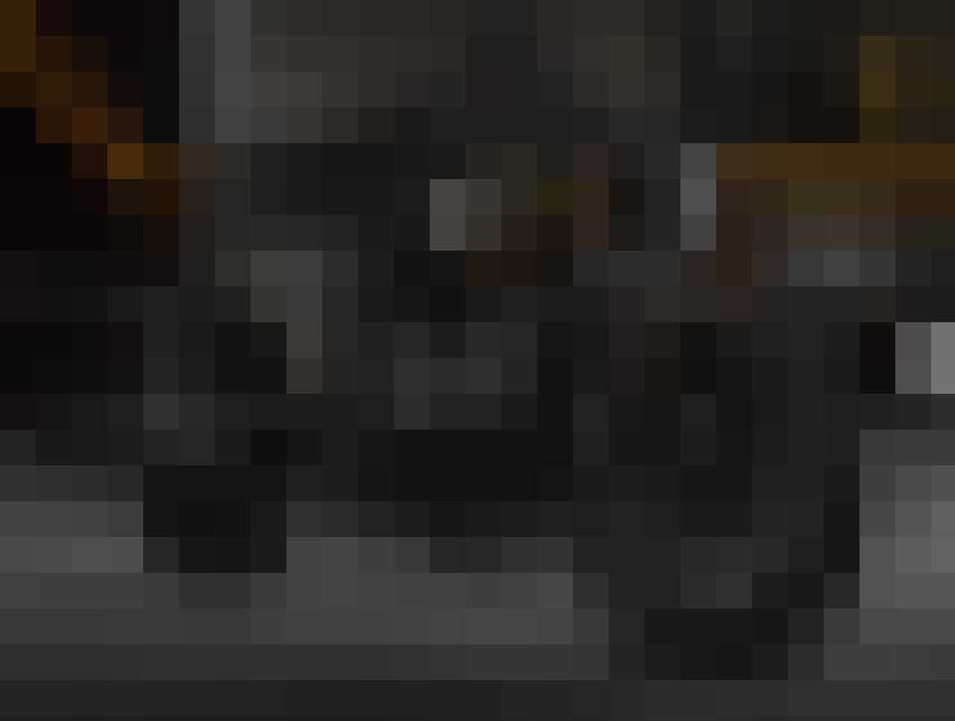 Jack Daniels Scout Bobber