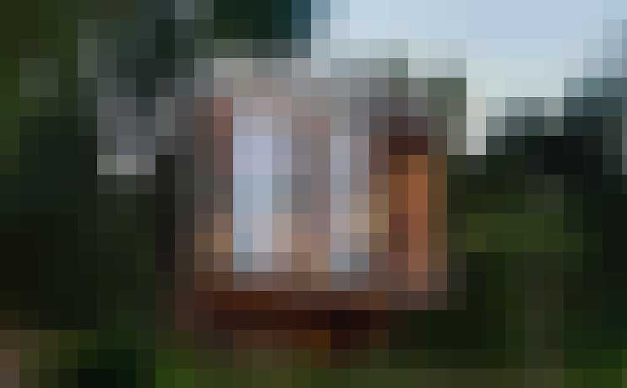 tree house constantia