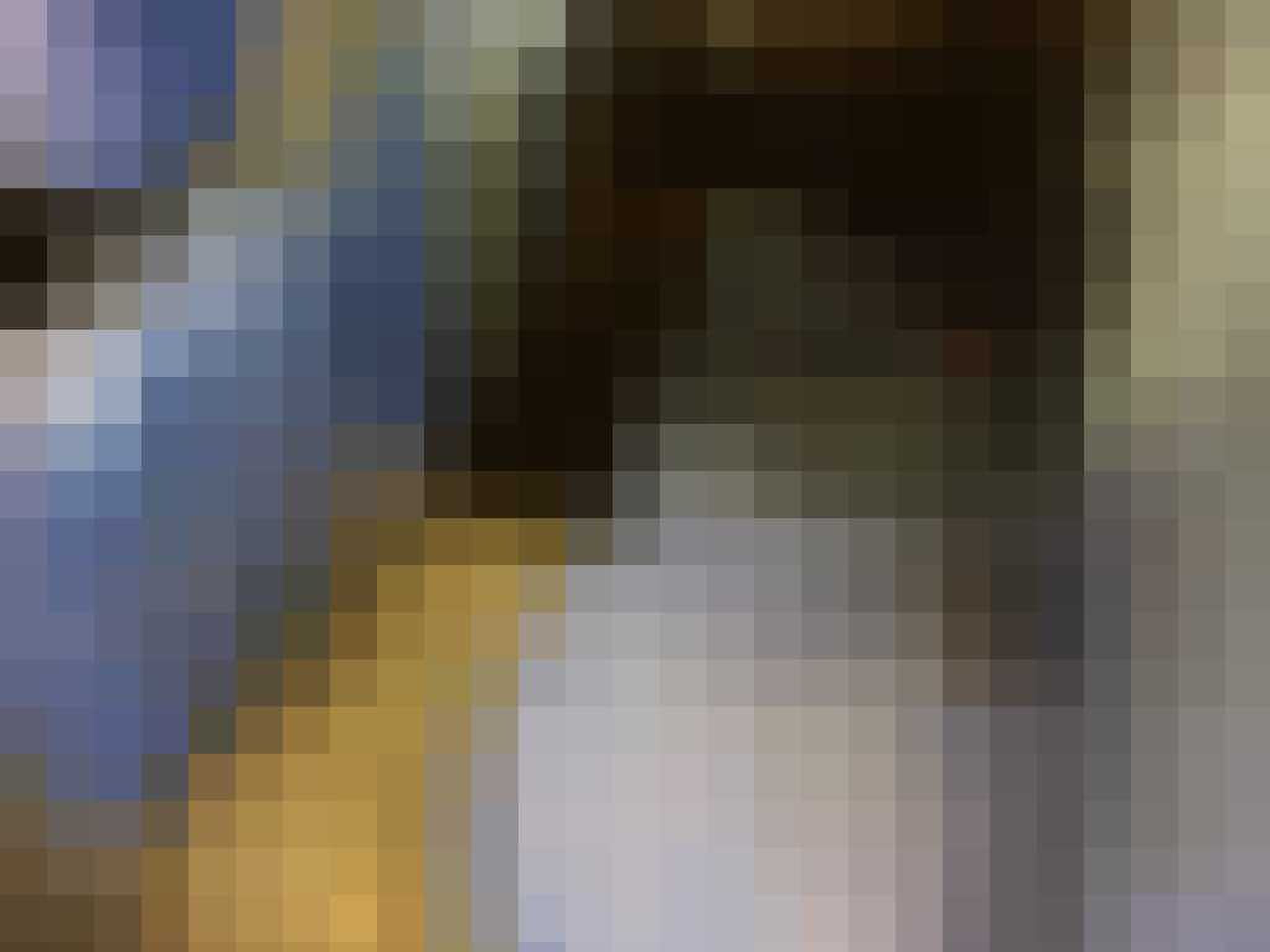 Fiat Multipla Max Verstappen Gewoonvoorhem