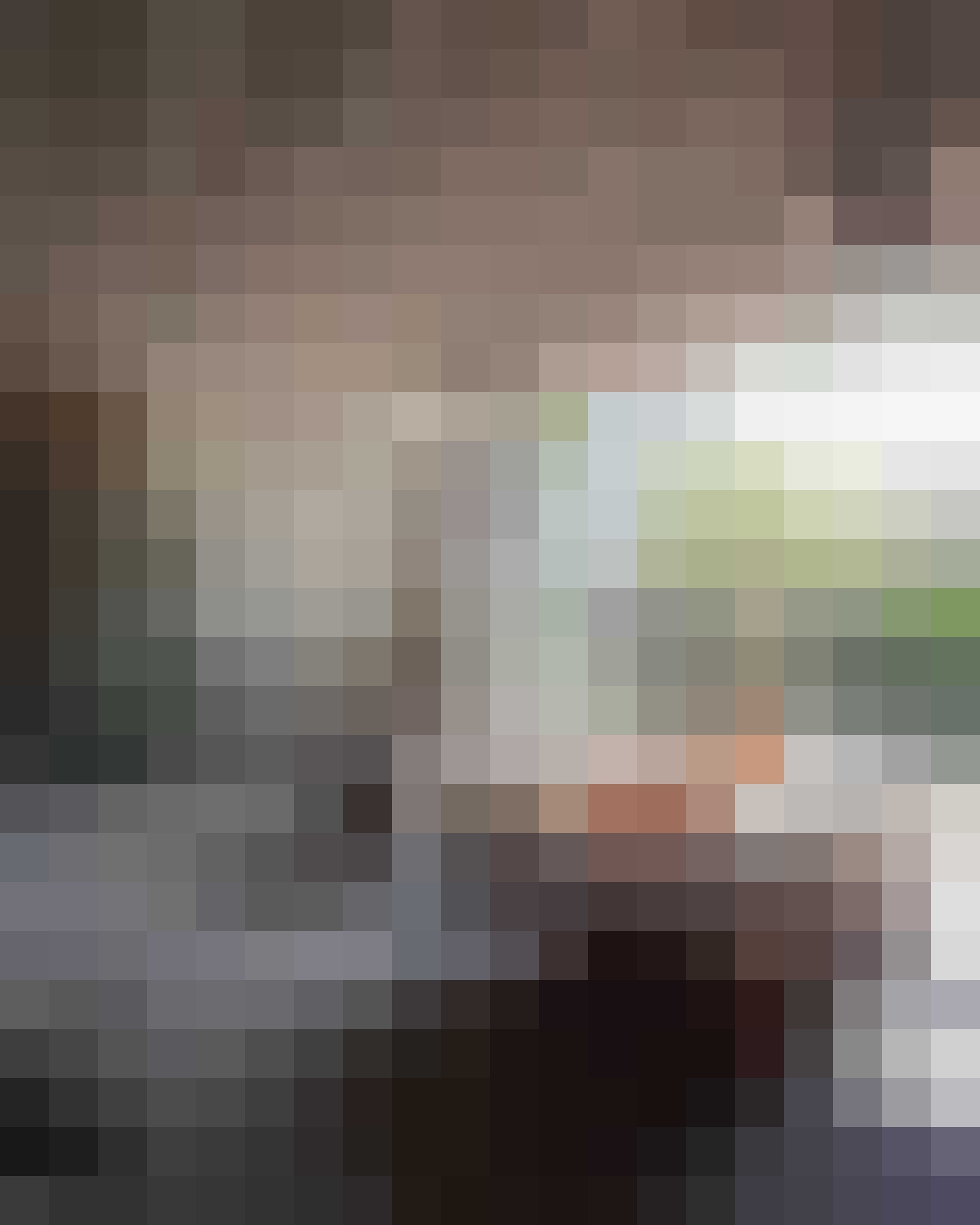 braziliaans huis industrieel en bohemian